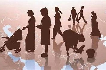 17245006711140019775