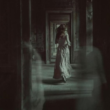 17267729711873882725