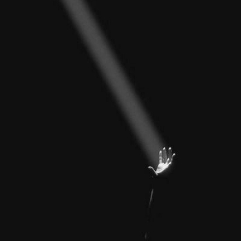 17290991931180174563