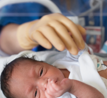 17294281471193567333