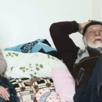 17309611152034736727