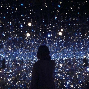 17395653232024242519