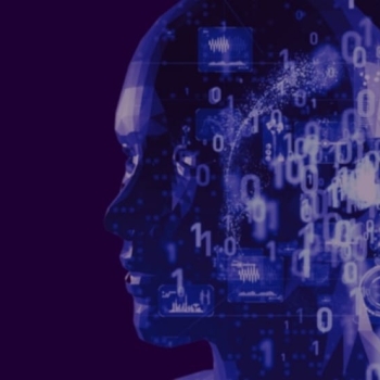 17447524082003553062