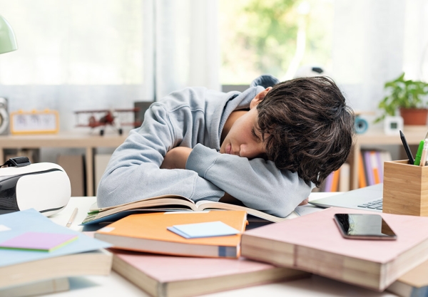 17462581441335364506