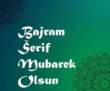 17492479621415693843