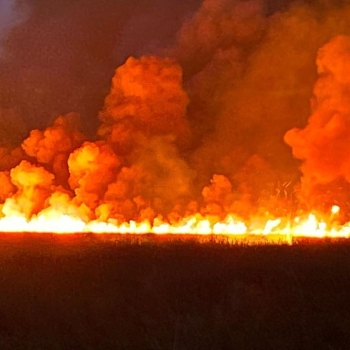 kas-yangin-aa-2082419