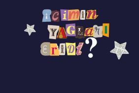 17577083382042140278