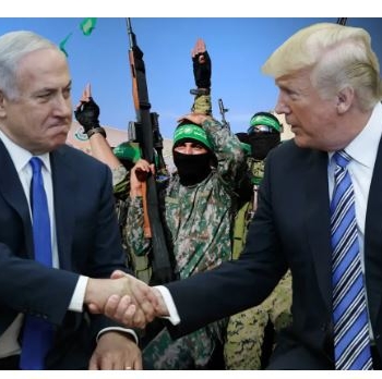 17592247601379219533