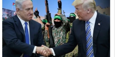 17592247601379219533