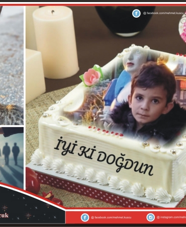 17653561881747763224