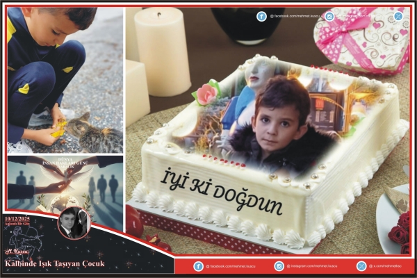 17653561881747763224