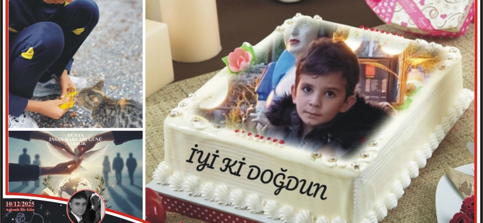 17653561881747763224