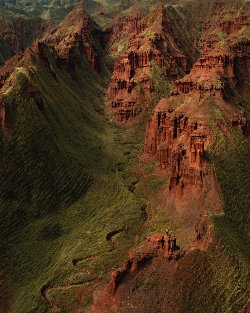 17694550551969313389