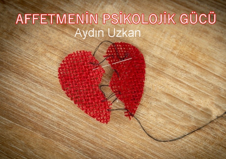 17723571511933087043