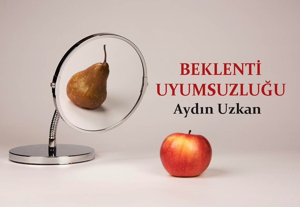 17740022171631287144