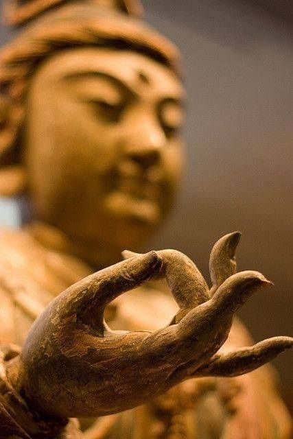 17747838771751249518